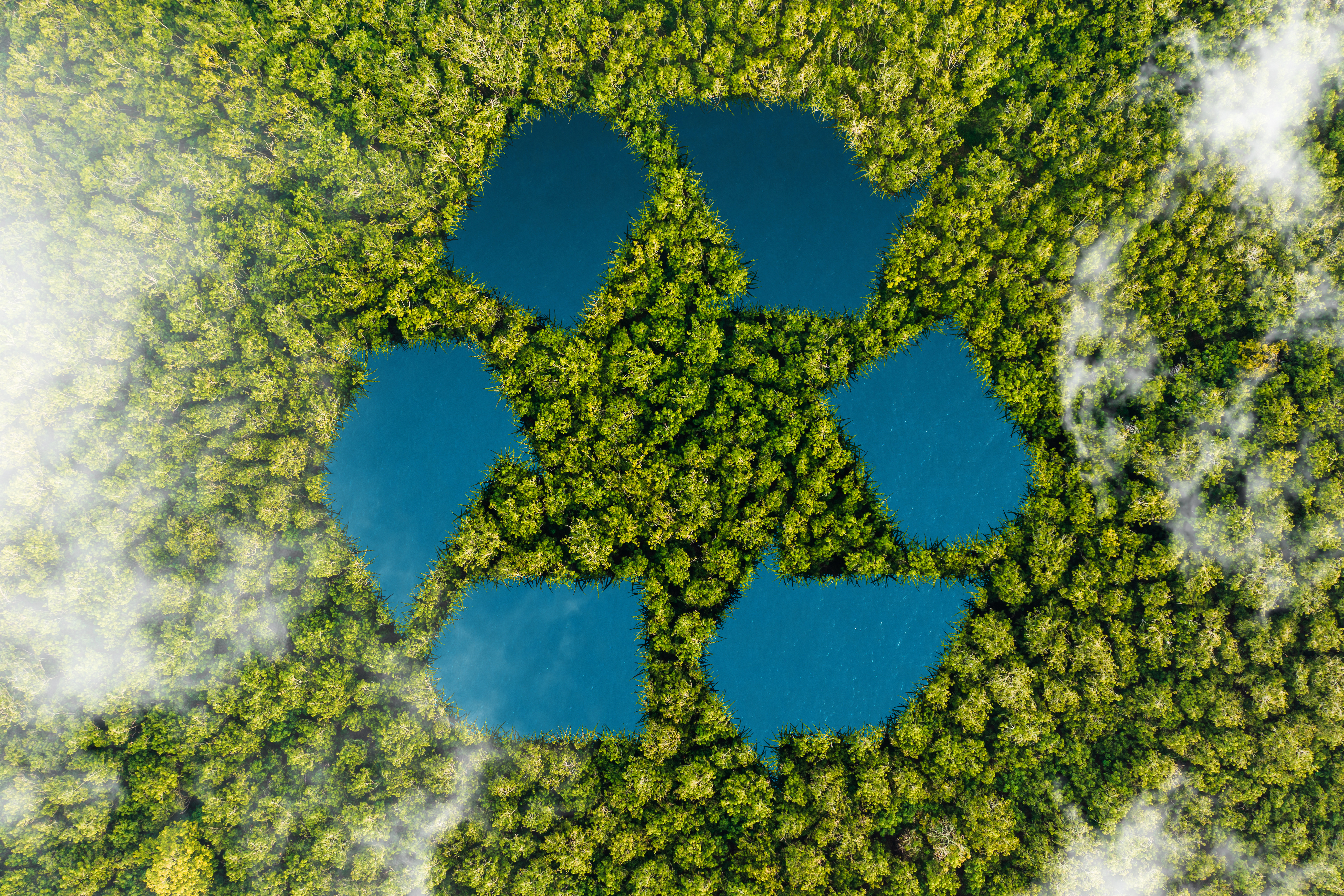Vue aérienne d'une forêt formant un symbole de recyclage.